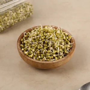 Green Moong Sprouts - Fresh Sprouts & Ready-to-Cook delivery in Aurangabad by OZO Mart